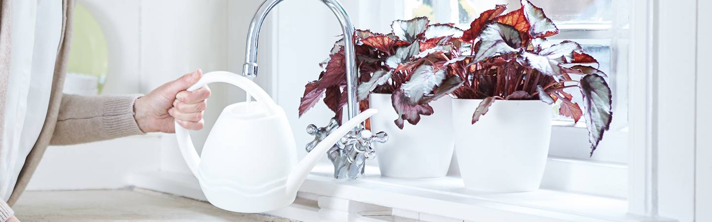 aquarius giesskanne 1,5ltr weiss